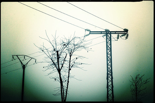 Fantasía de una tarde invernal